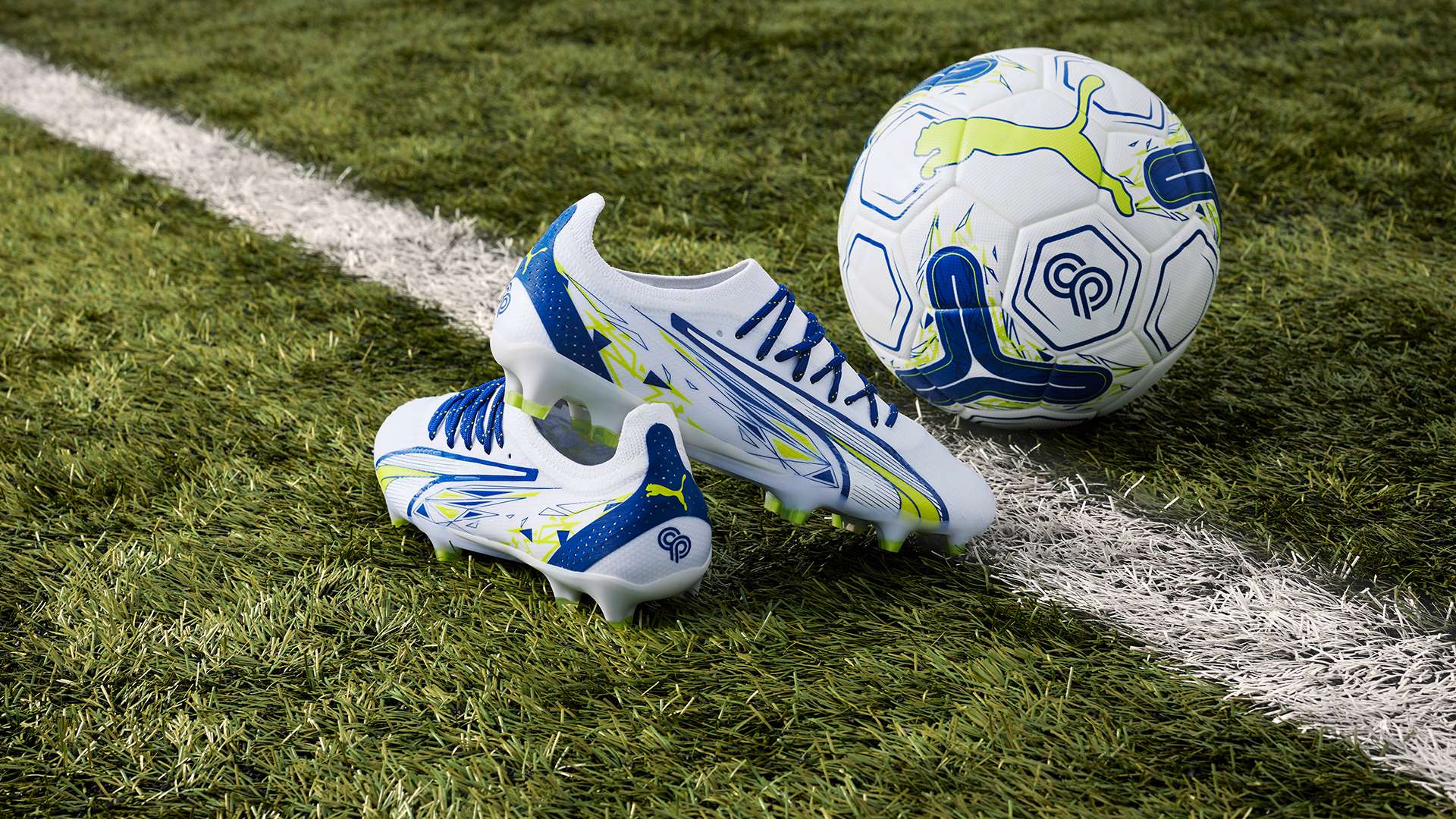 这些国家的 这些国家的