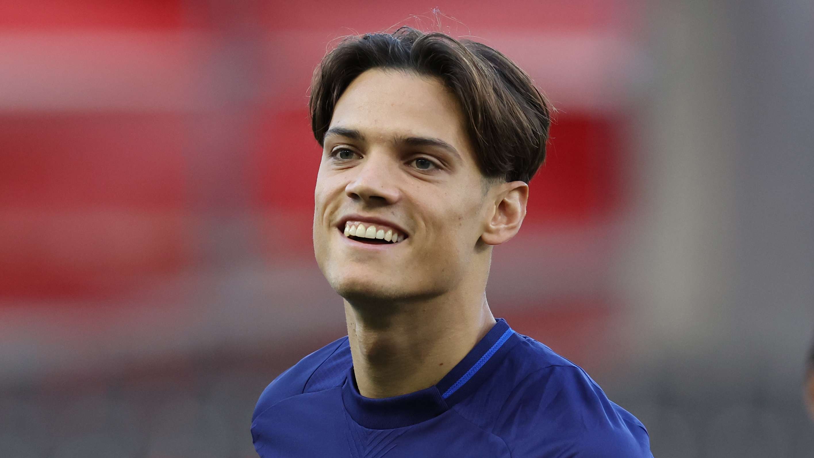 葡萄牙的新 葡萄牙的新