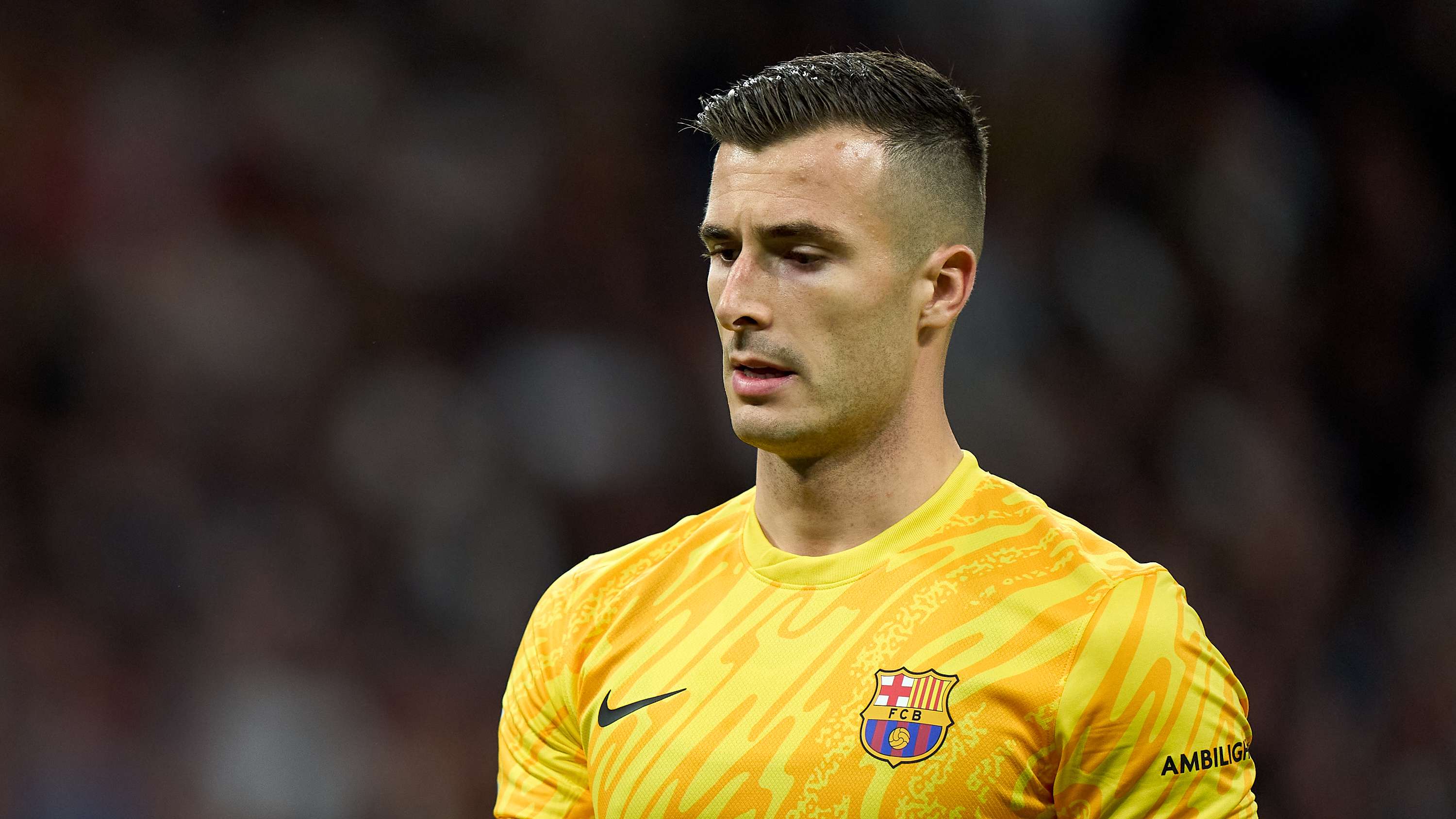 在被任命为 在被任命为